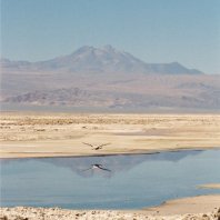 Atcama Desert, Chile by @FMussgnug