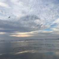 Ocean Beach, San Francisco, California, USA by @JGavrilah